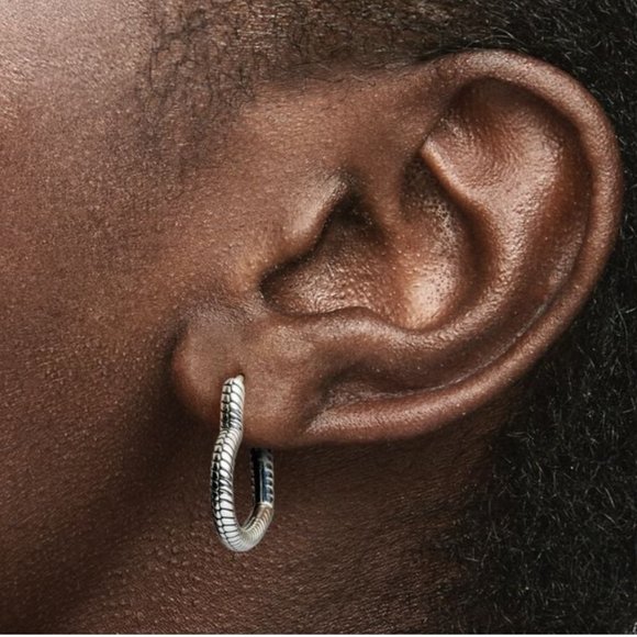 1pcs/pair Pandora 925 Sterling Silver Charm/Earrings Women’s Pin Fine Jewelry - Picture 2 of 16